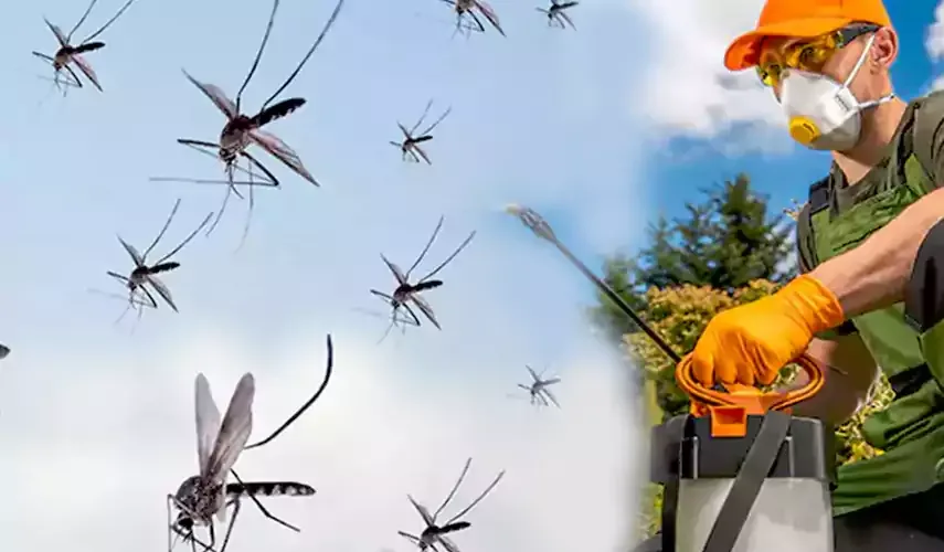 Mosquito pest control Katy TX