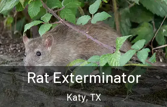 Rat exterminator treating a Lufkin, TX home