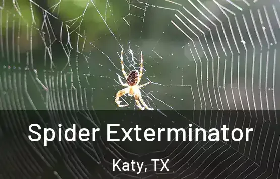 Spider Pest Control in Lufkin, TX