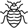Ticks