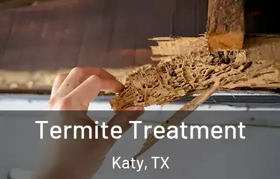Termite exterminator treating a Lufkin, TX home